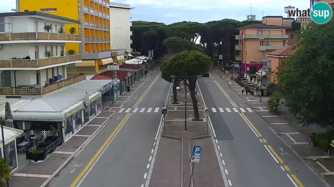 Camera en vivo Rosolina mare