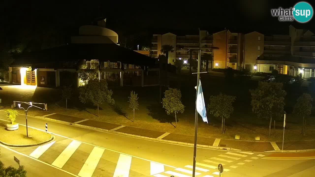 Camera en vivo Rosolina mare