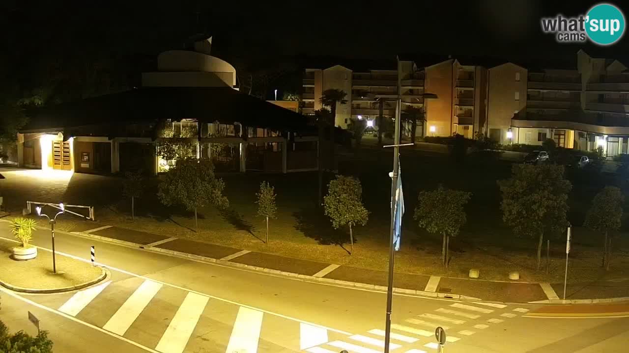 Camera en vivo Rosolina mare