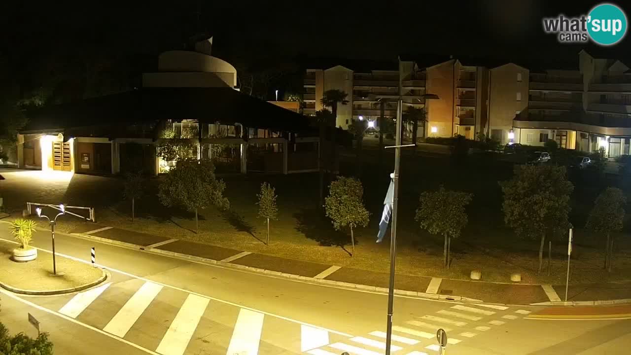 Camera en vivo Rosolina mare