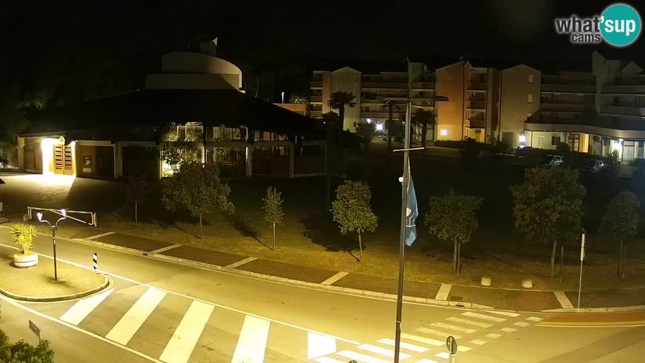 Camera en vivo Rosolina mare