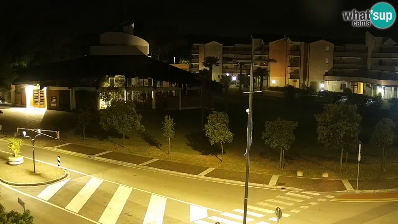 Livecam Rosolina mare