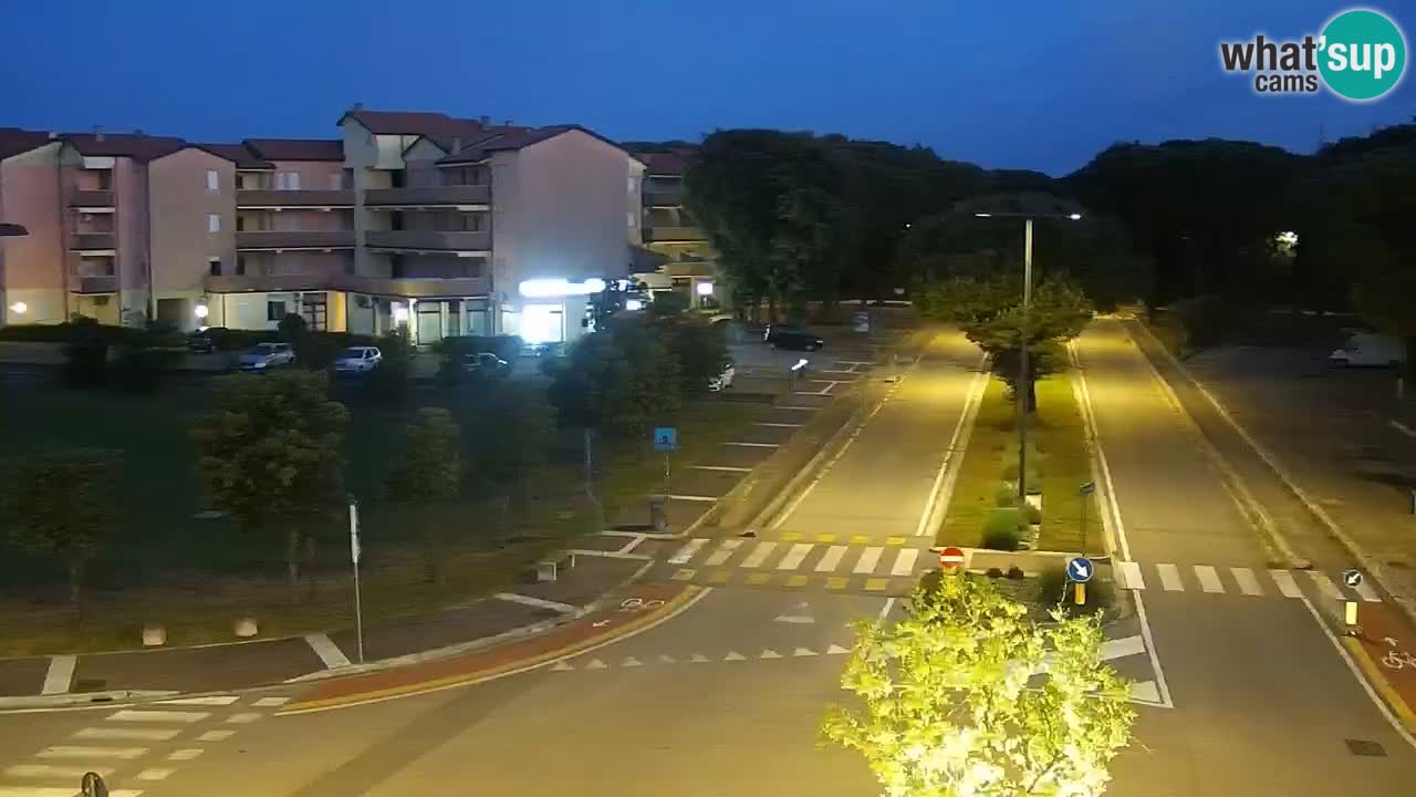 Camera en vivo Rosolina mare