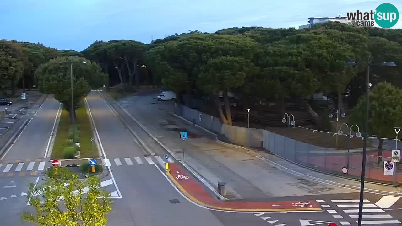 Camera en vivo Rosolina mare