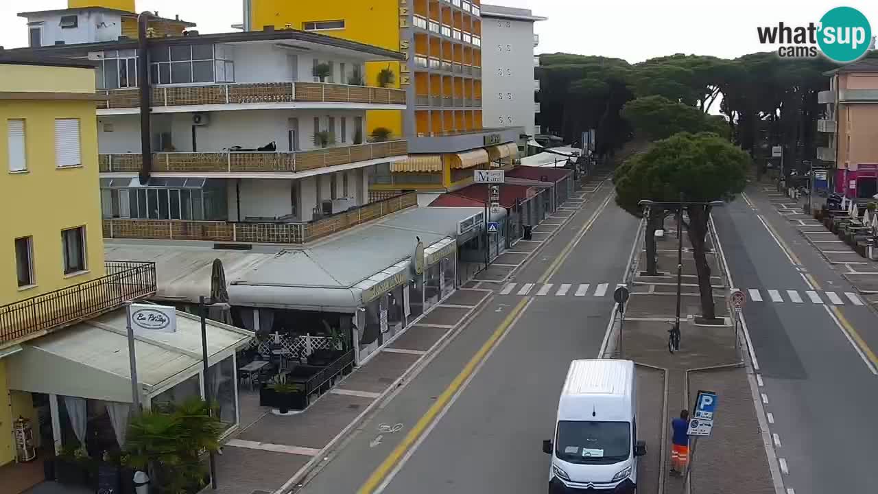 Camera en vivo Rosolina mare