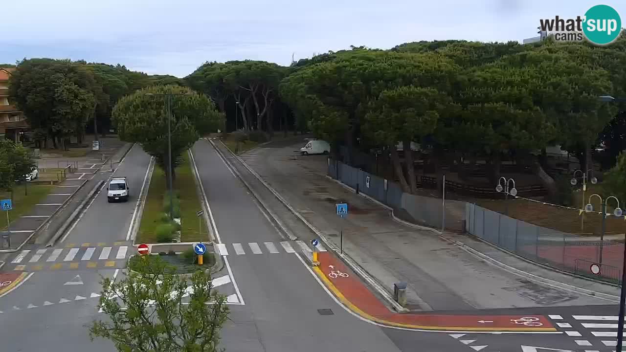 Camera en vivo Rosolina mare