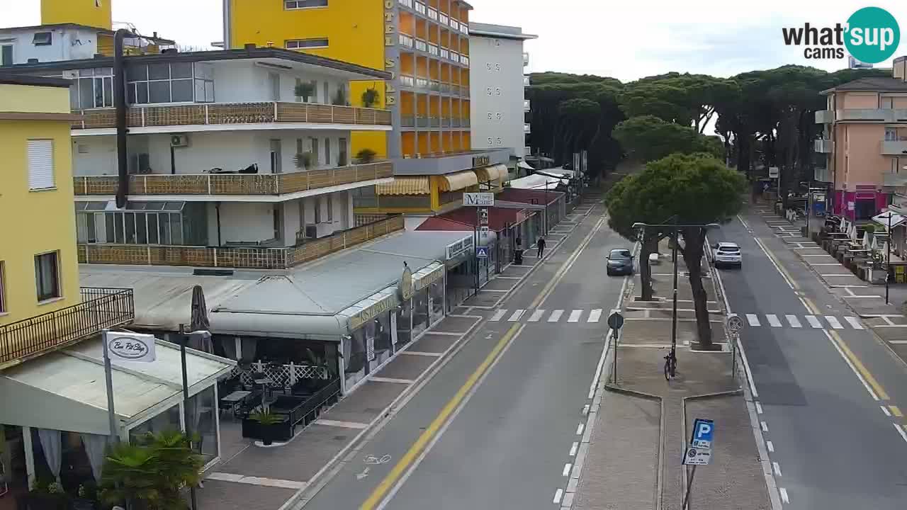 Camera en vivo Rosolina mare