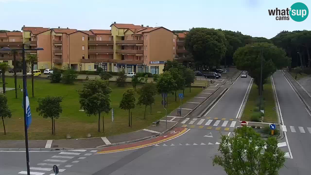 Camera en vivo Rosolina mare