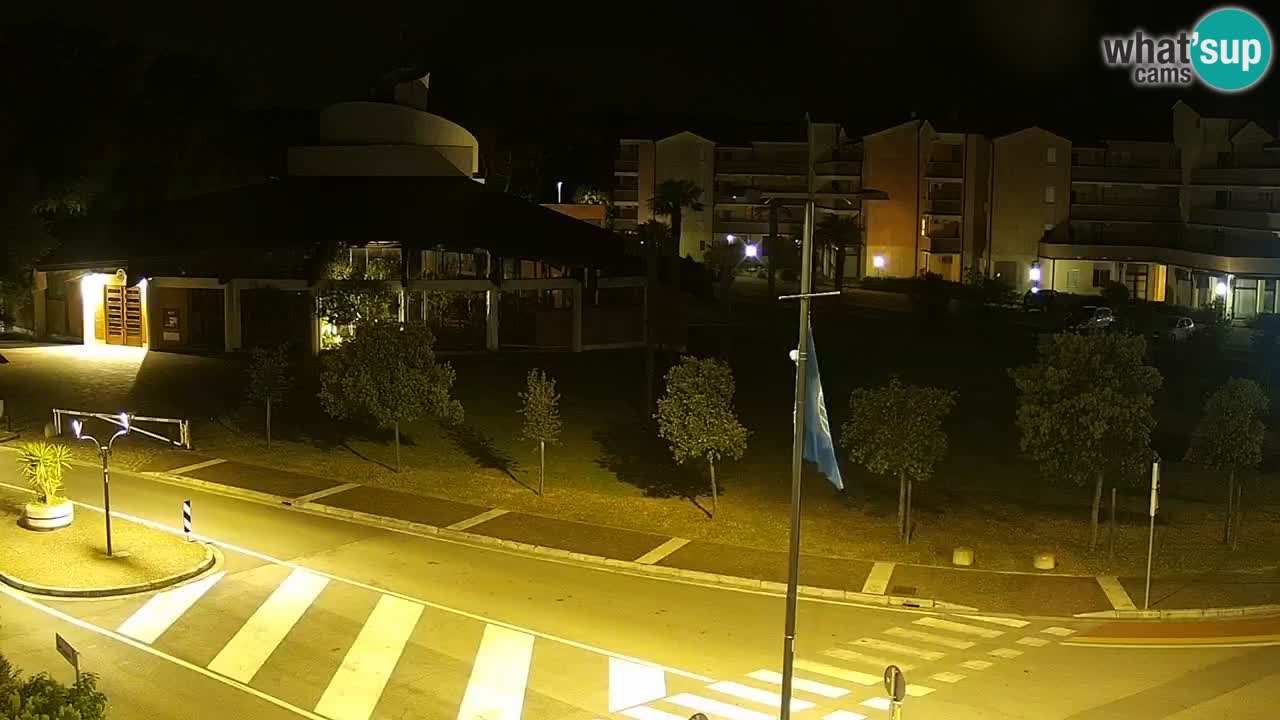 Camera en vivo Rosolina mare