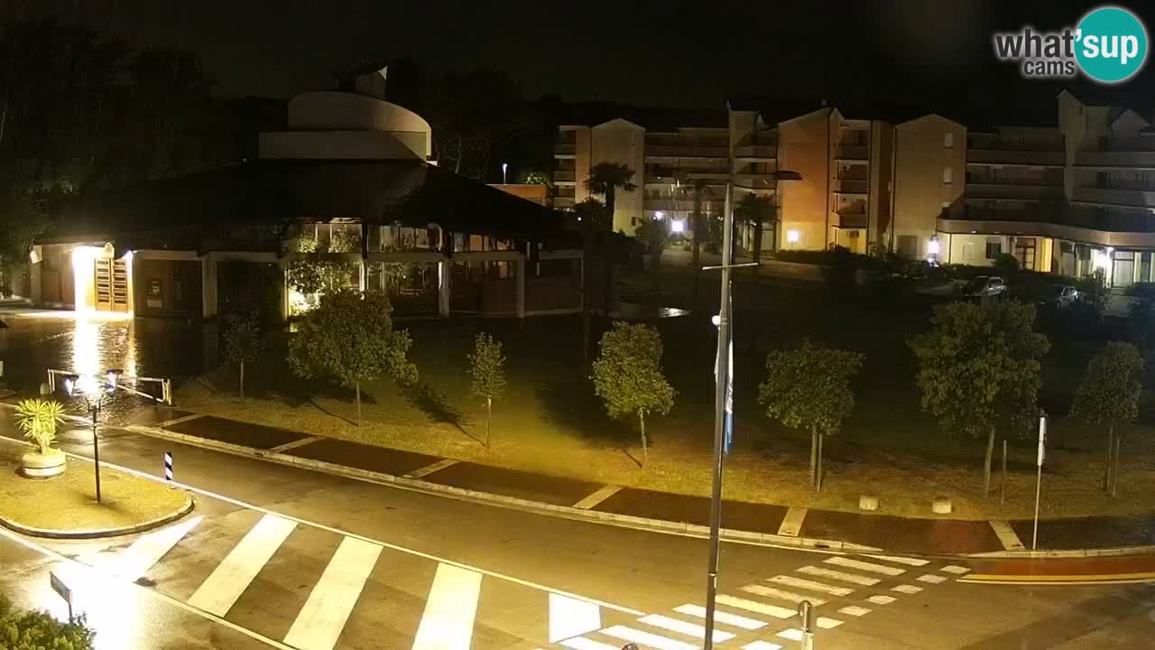 Camera en vivo Rosolina mare