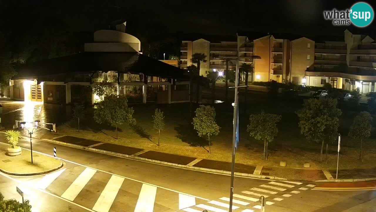 Livecam Rosolina mare