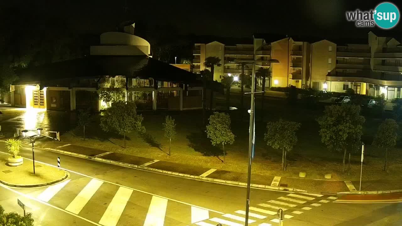 Livecam Rosolina mare