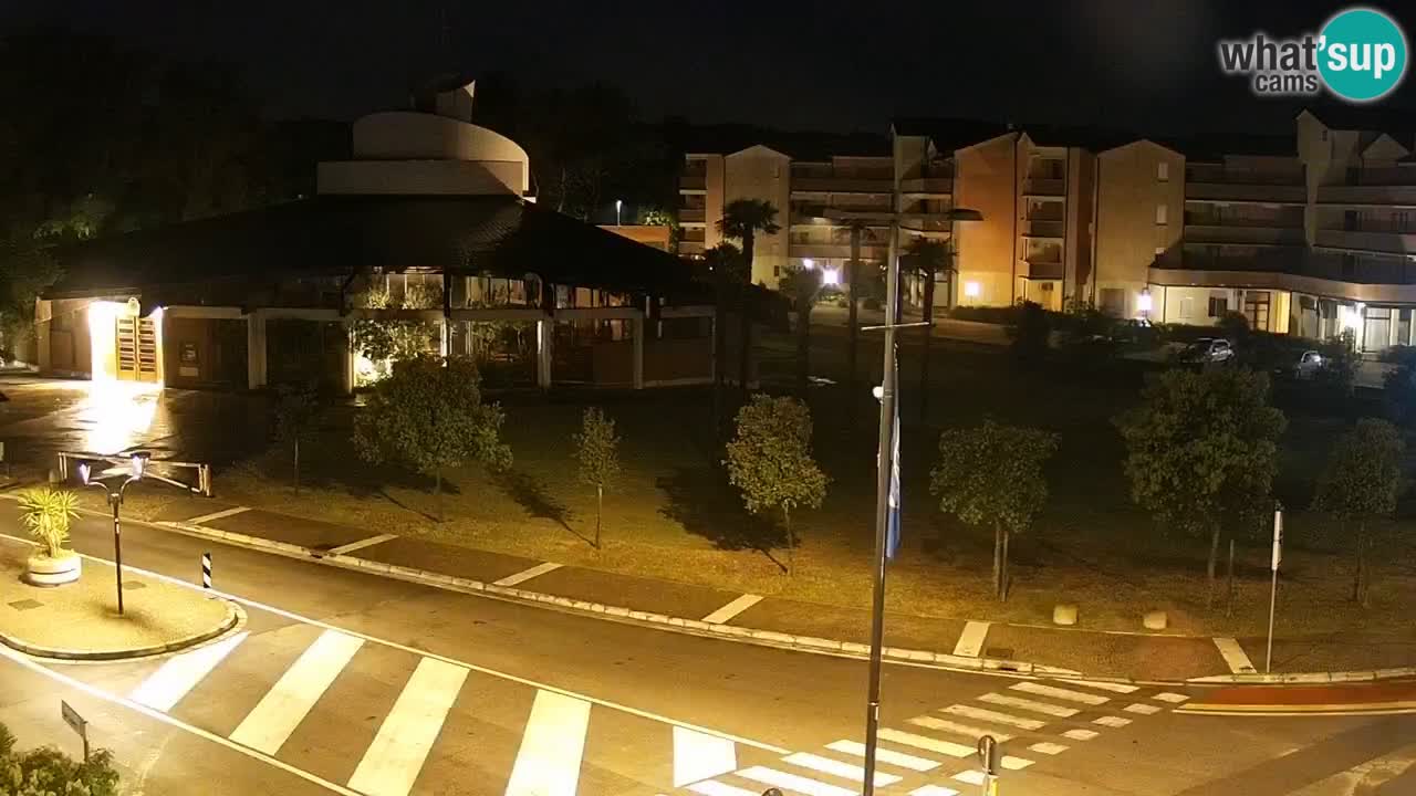 Camera en vivo Rosolina mare