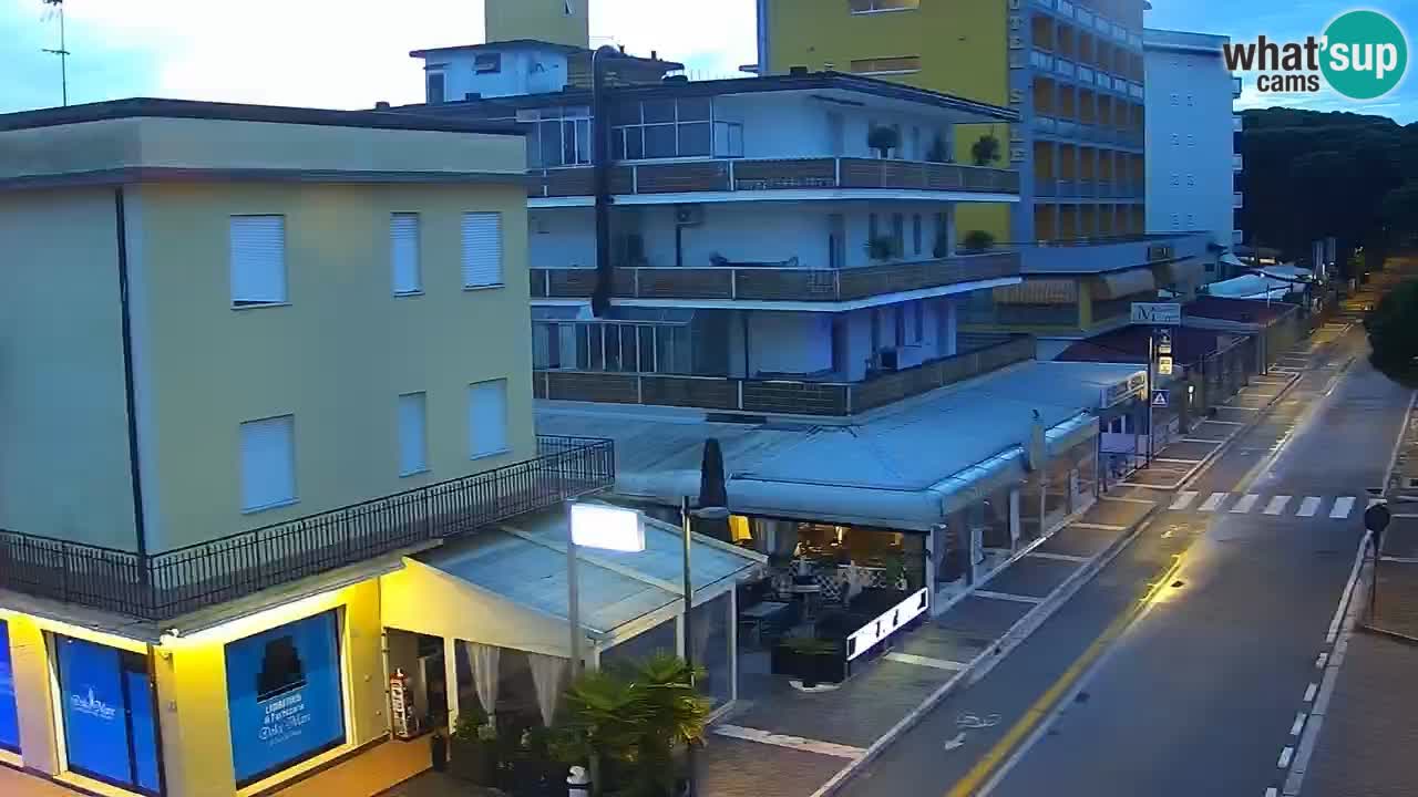 Camera en vivo Rosolina mare