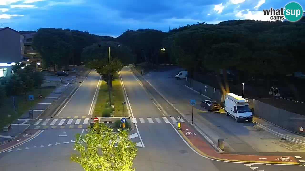 Livecam Rosolina mare