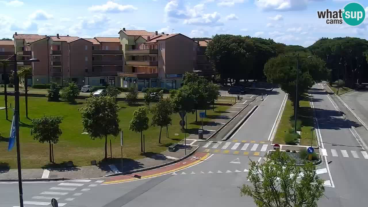 Camera en vivo Rosolina mare
