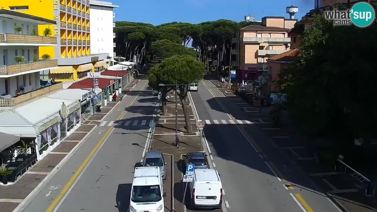 Livecam Rosolina mare