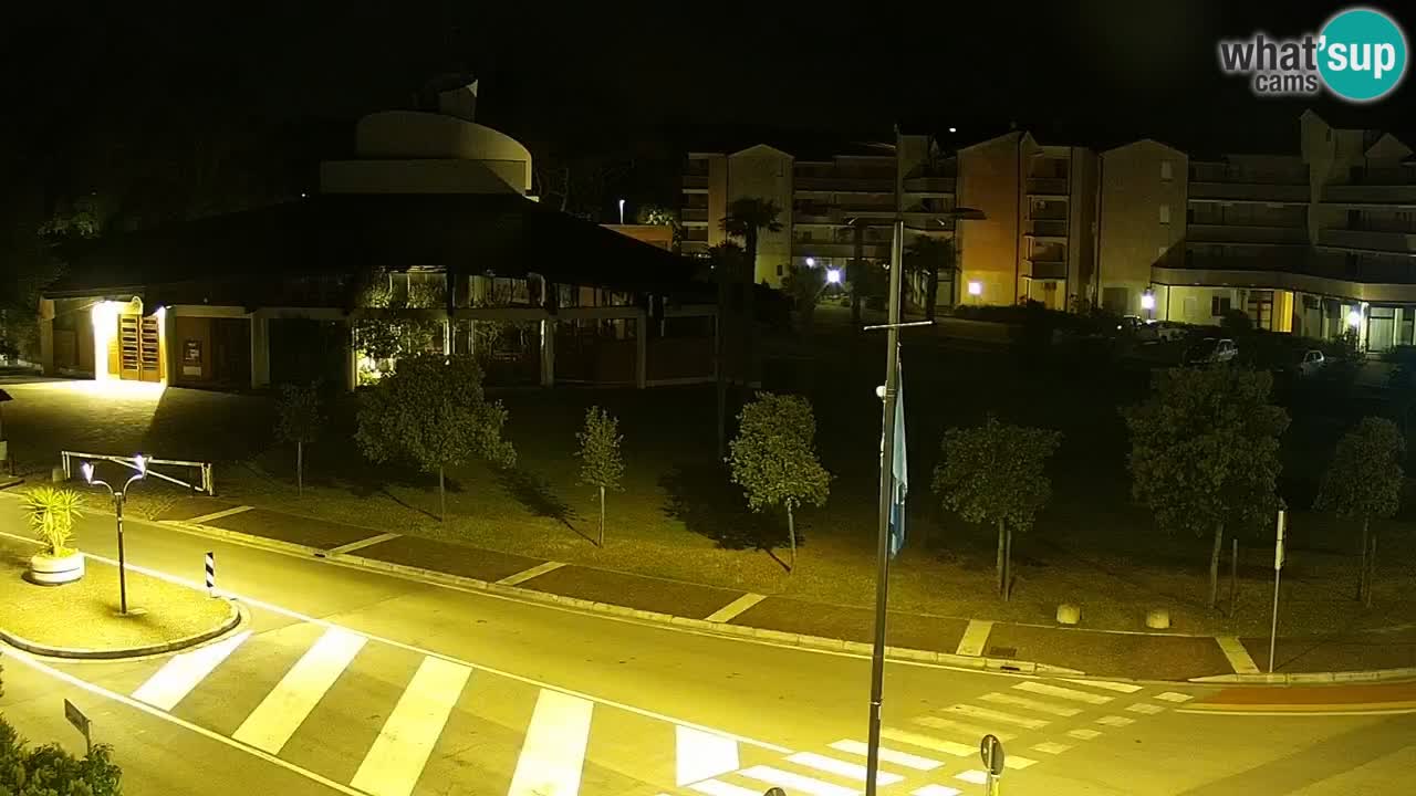 Livecam Rosolina mare