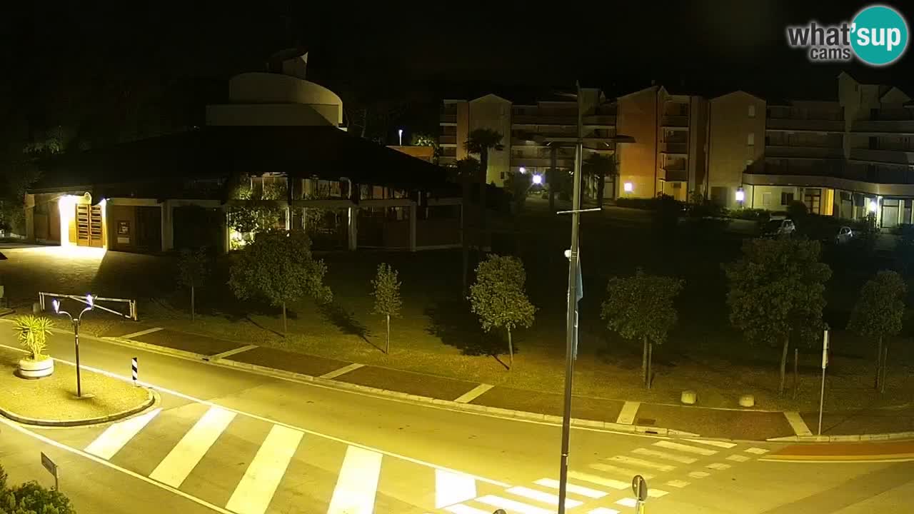 Camera en vivo Rosolina mare