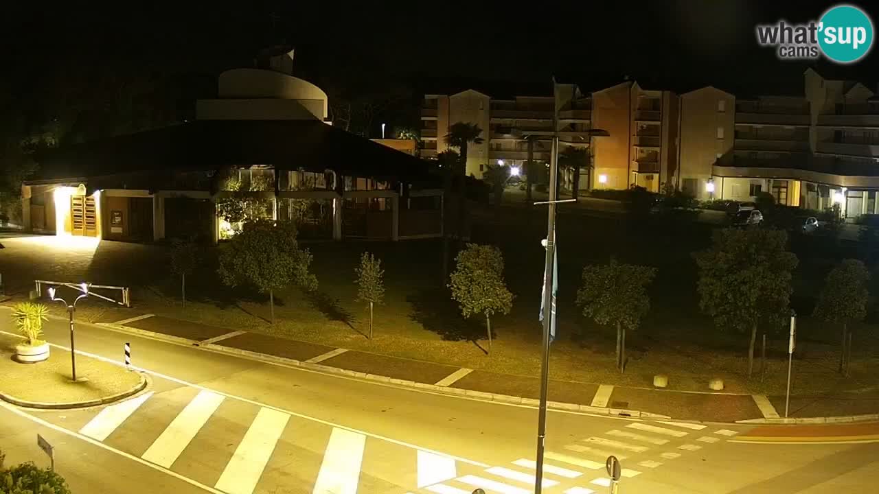 Camera en vivo Rosolina mare