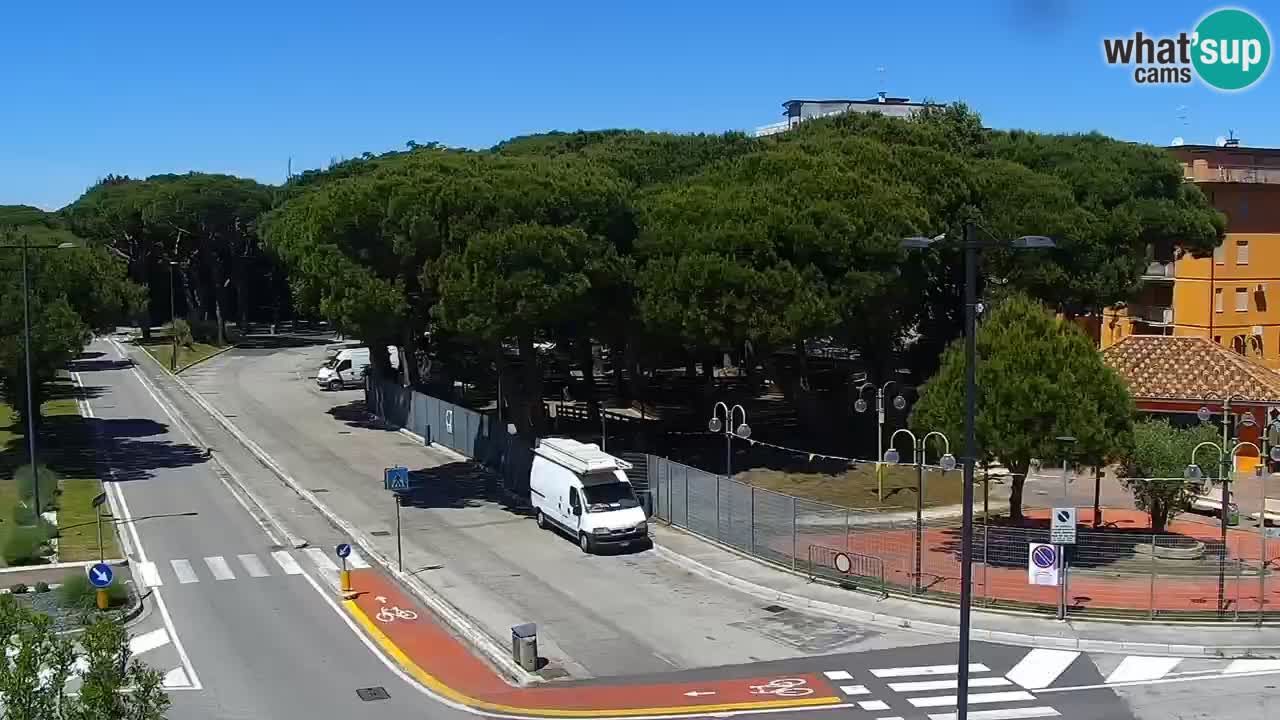 Livecam Rosolina mare