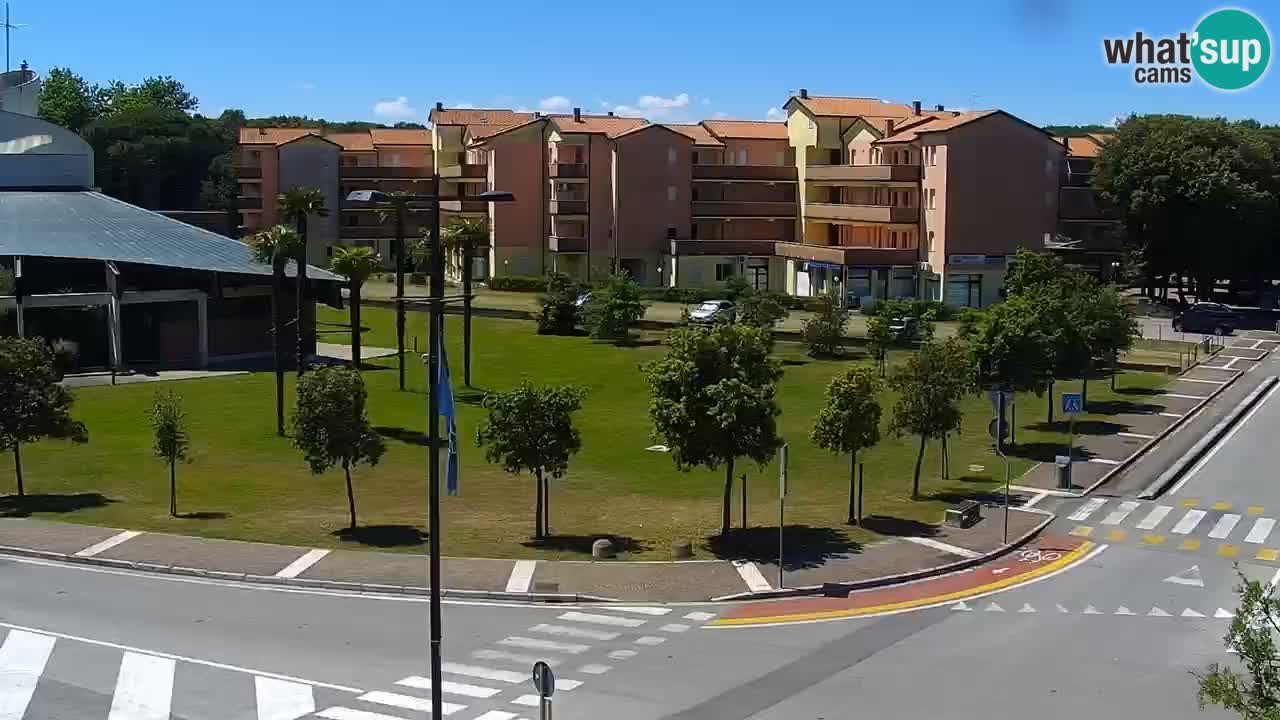 Livecam Rosolina mare