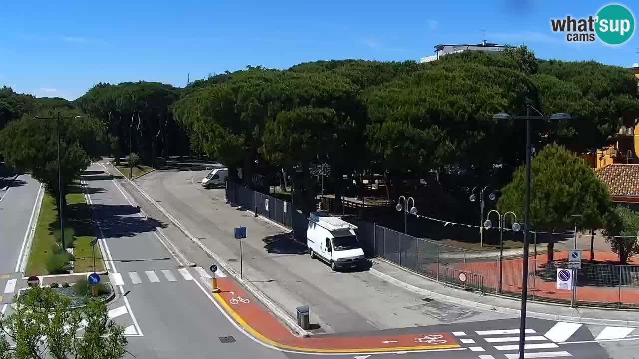 Livecam Rosolina mare