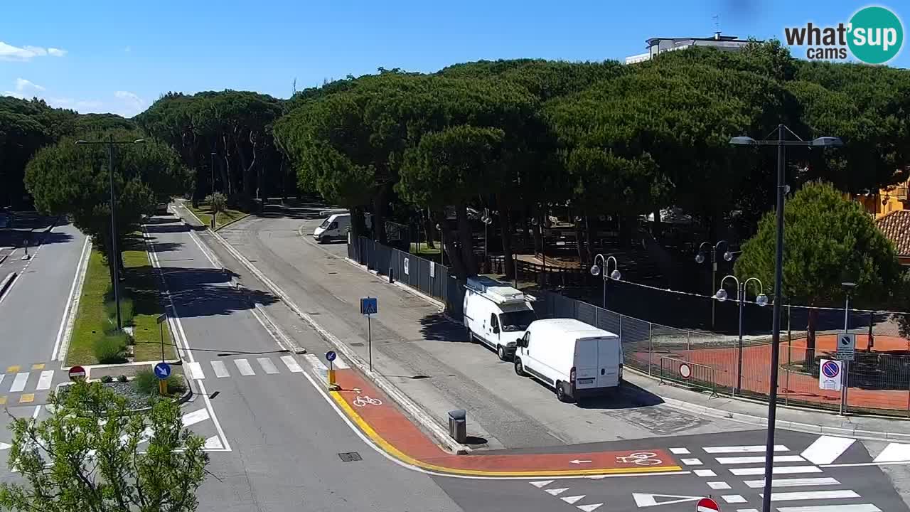 Livecam Rosolina mare