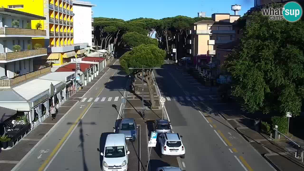 Camera en vivo Rosolina mare