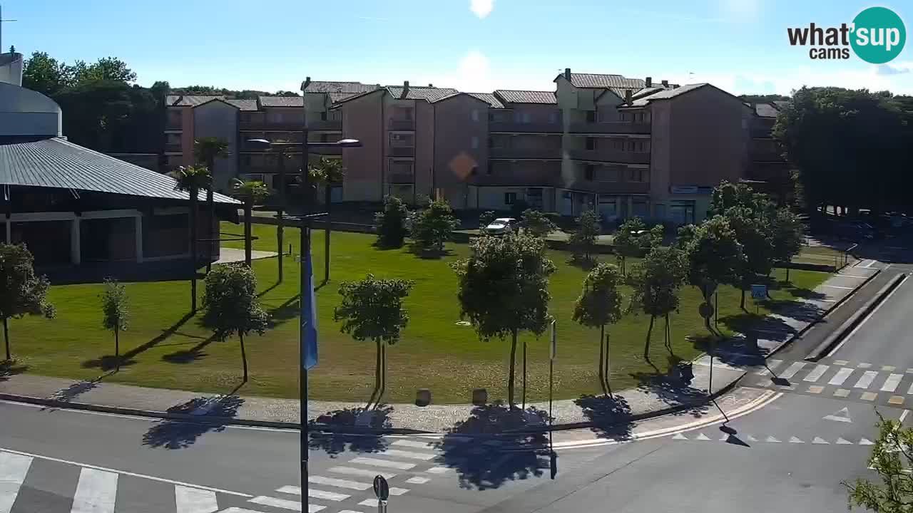 Livecam Rosolina mare
