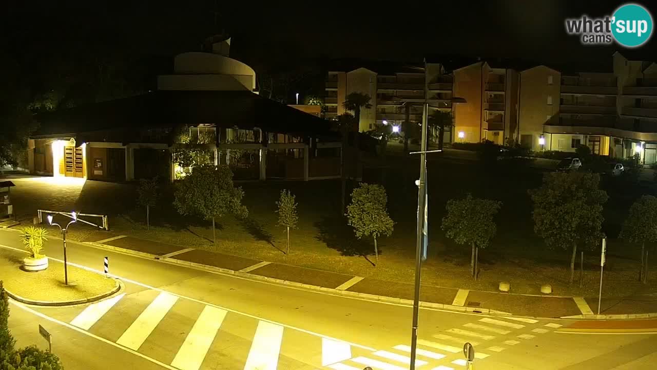 Camera en vivo Rosolina mare