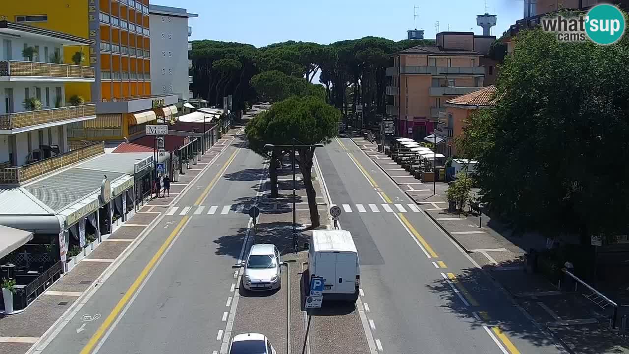 Camera en vivo Rosolina mare