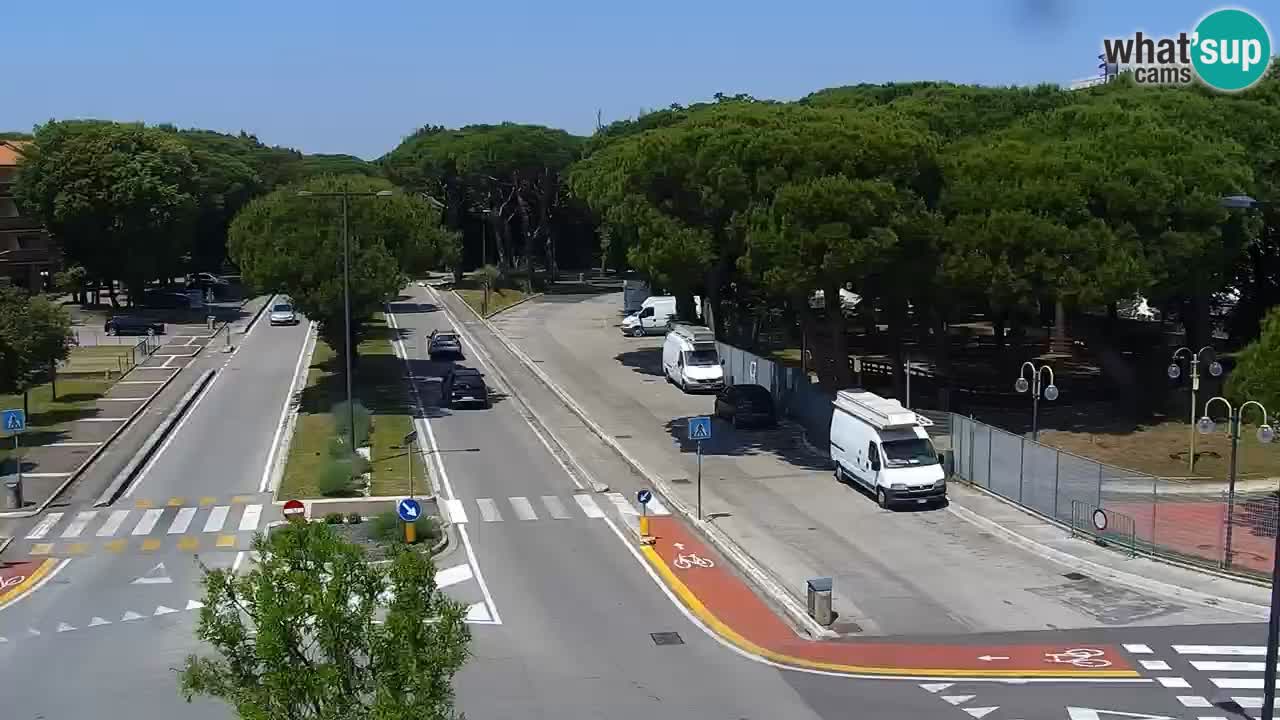 Livecam Rosolina mare
