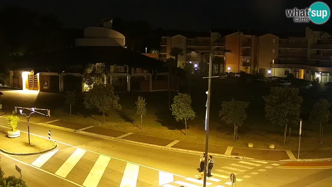 Livecam Rosolina mare