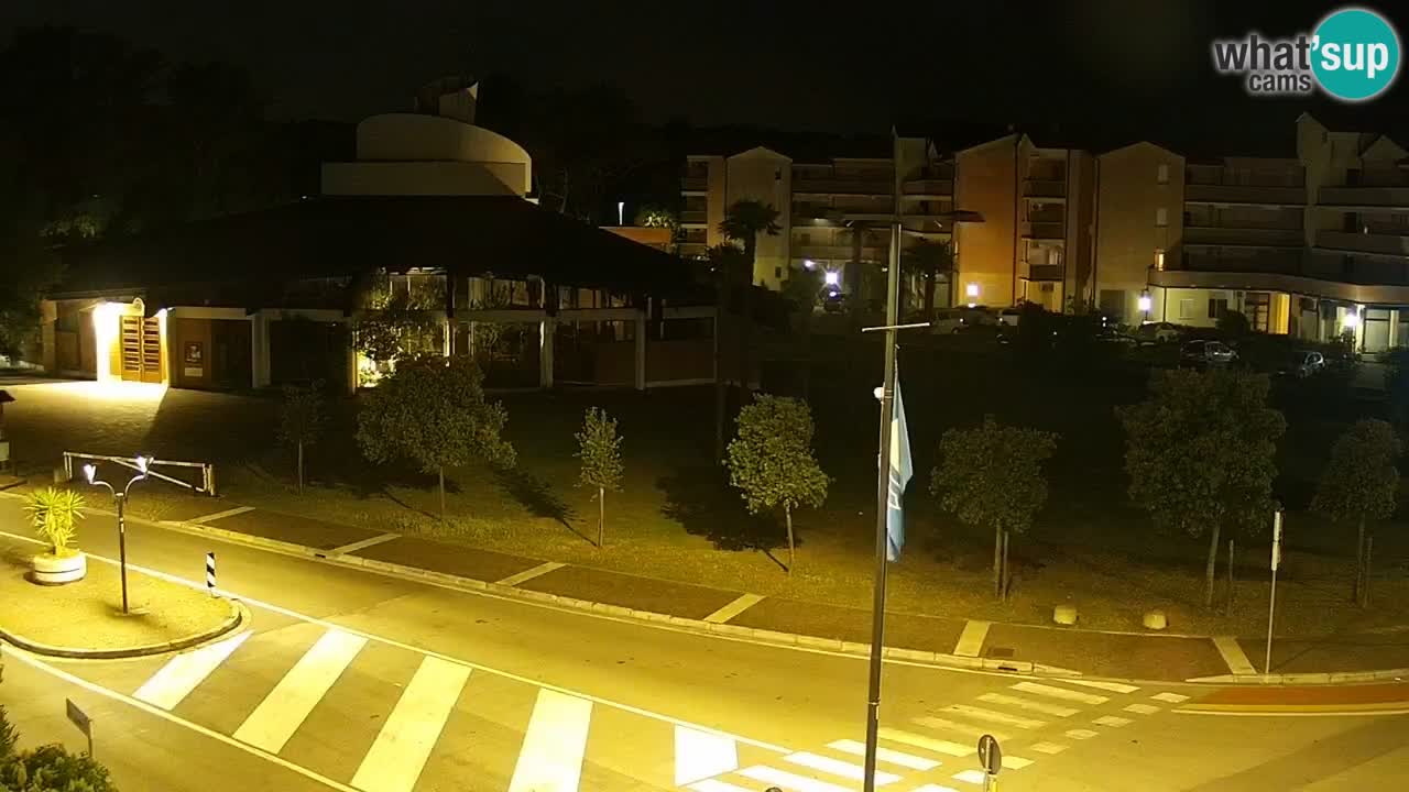 Camera en vivo Rosolina mare