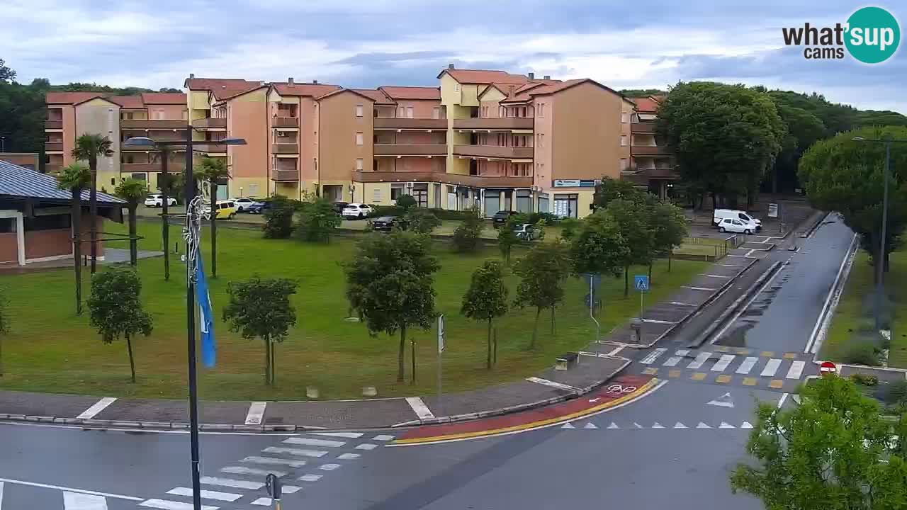 Livecam Rosolina mare
