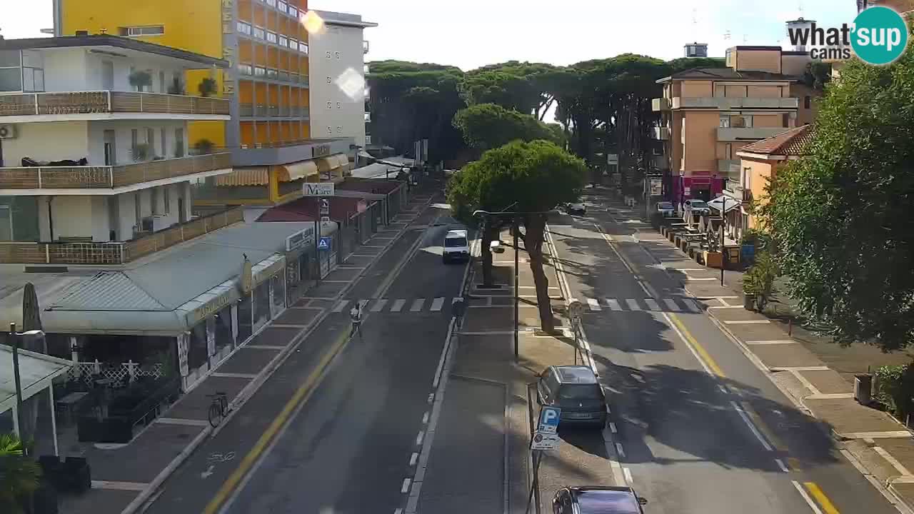 Camera en vivo Rosolina mare