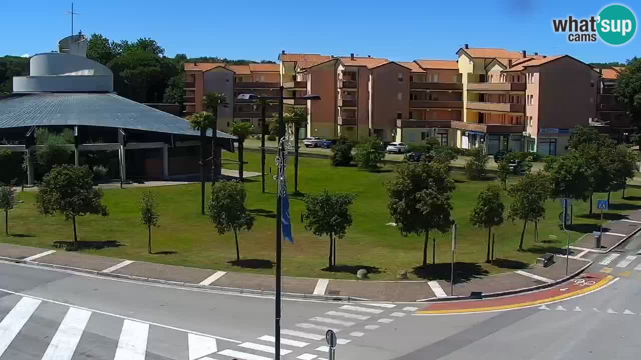 Livecam Rosolina mare