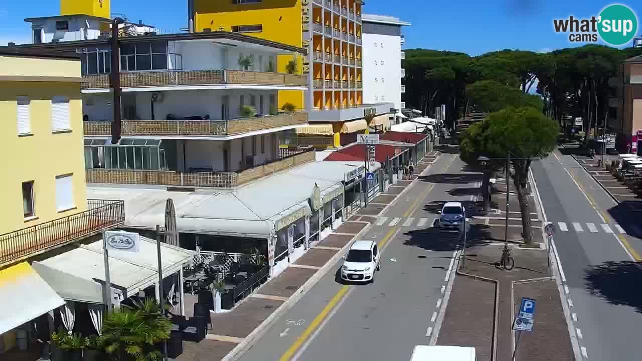 Camera en vivo Rosolina mare