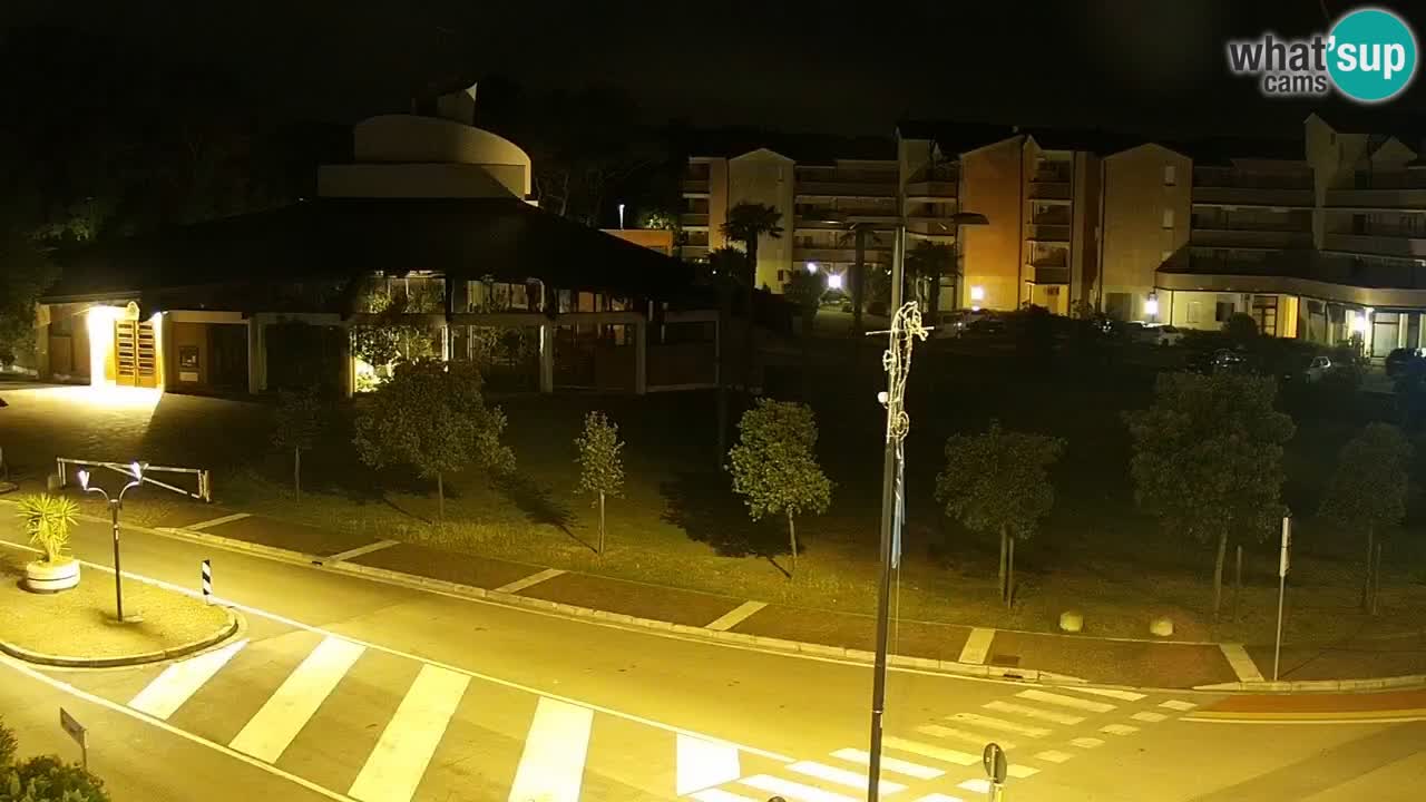 Camera en vivo Rosolina mare