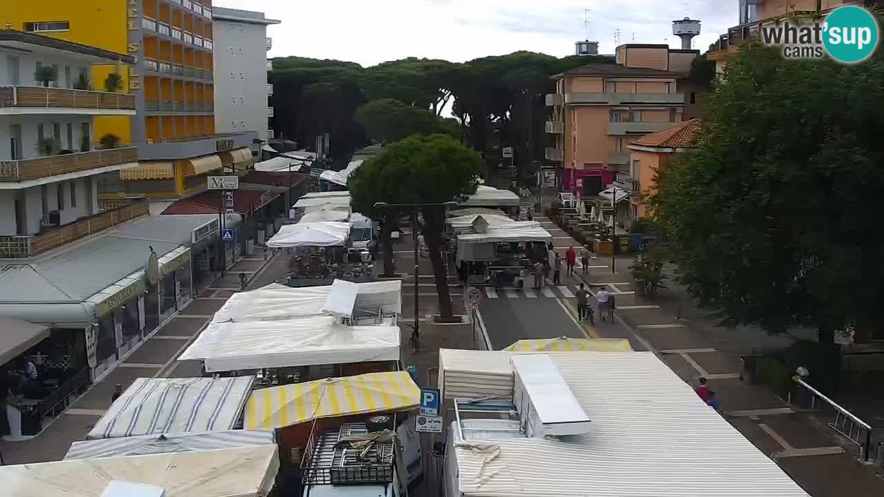 Livecam Rosolina mare