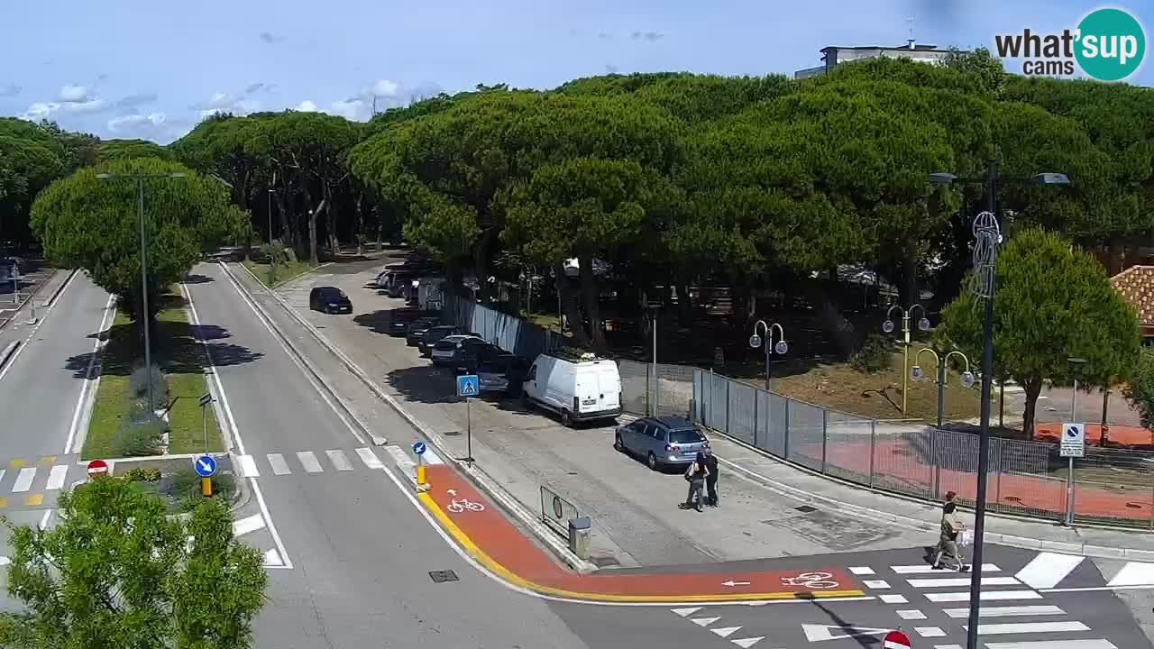 Camera en vivo Rosolina mare