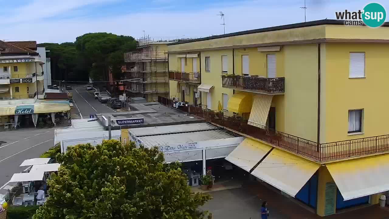 Camera en vivo Rosolina mare