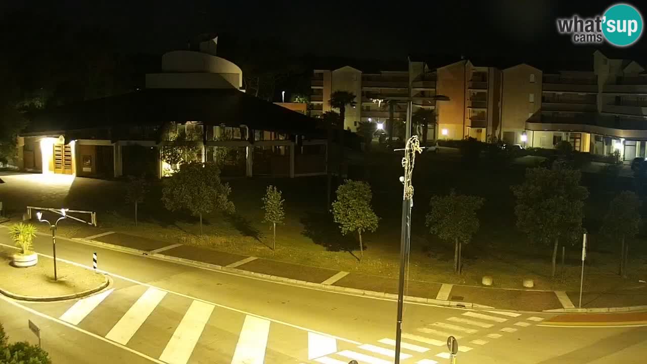 Livecam Rosolina mare