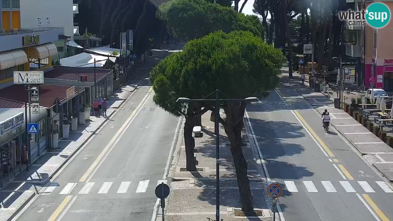 Camera en vivo Rosolina mare