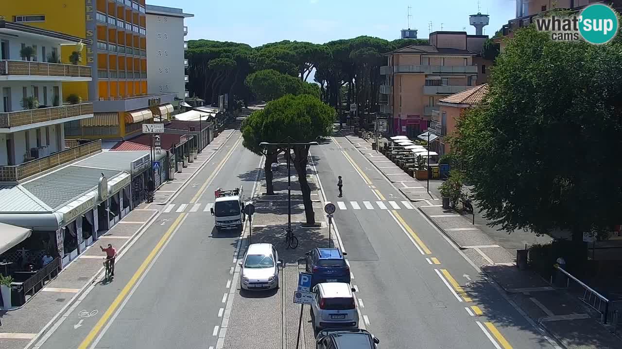 Livecam Rosolina mare