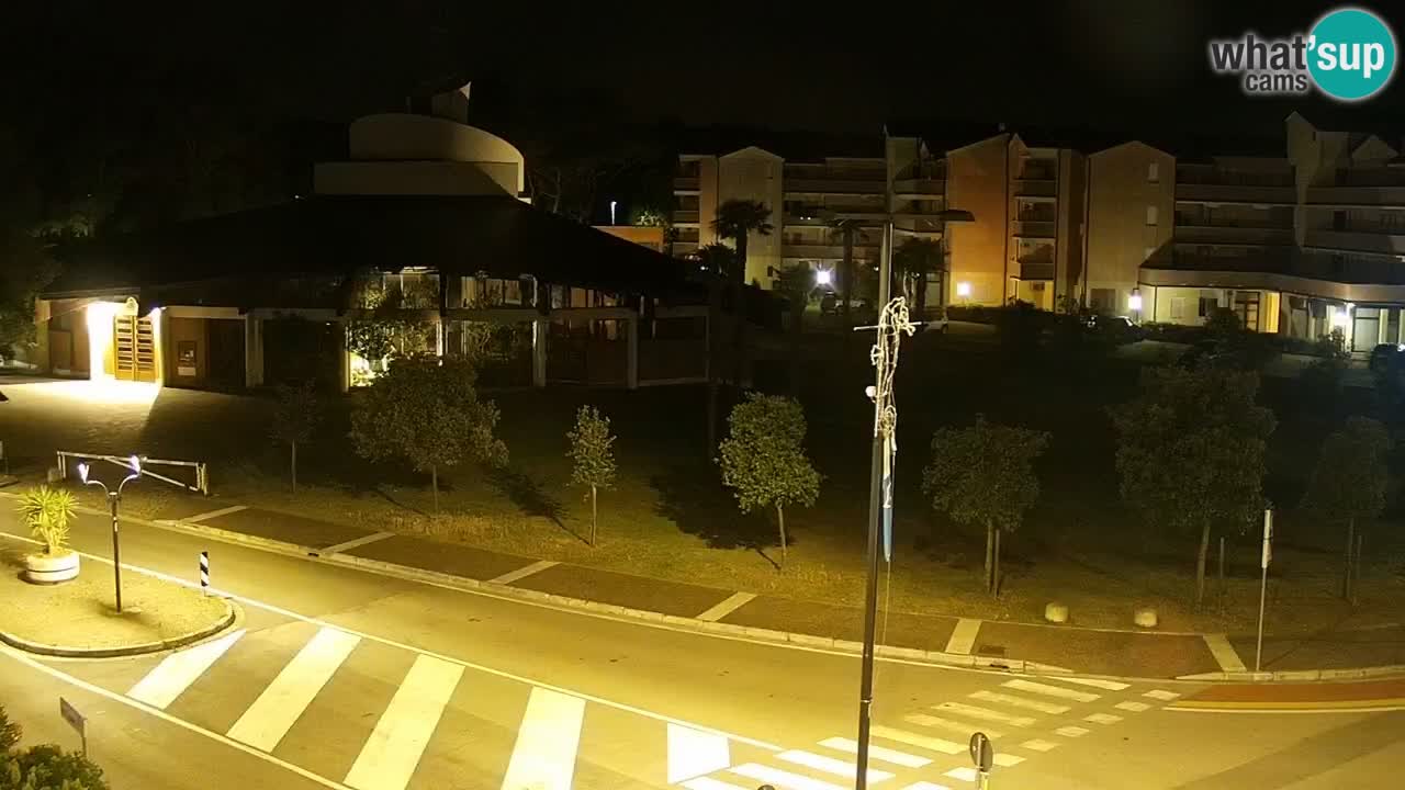Camera en vivo Rosolina mare
