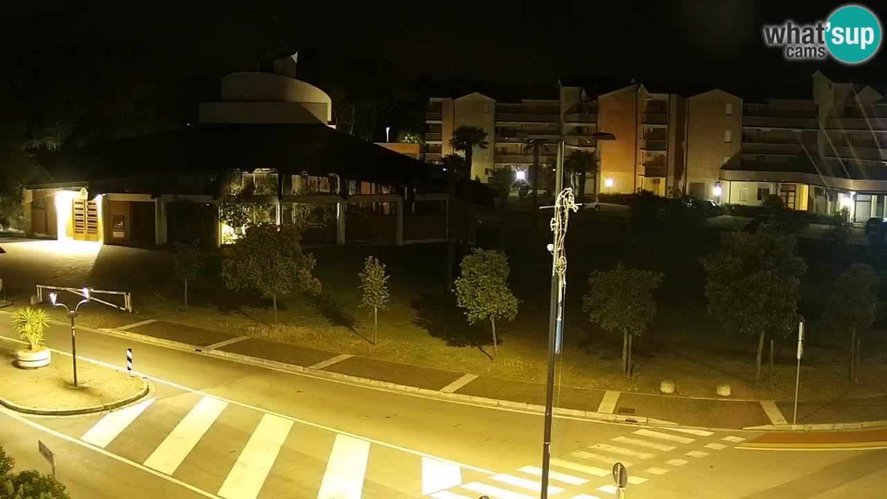 Livecam Rosolina mare