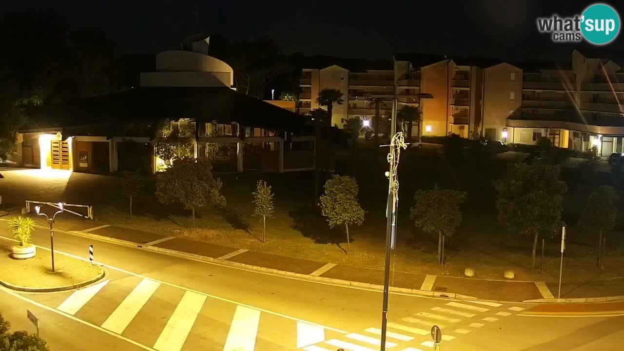 Camera en vivo Rosolina mare