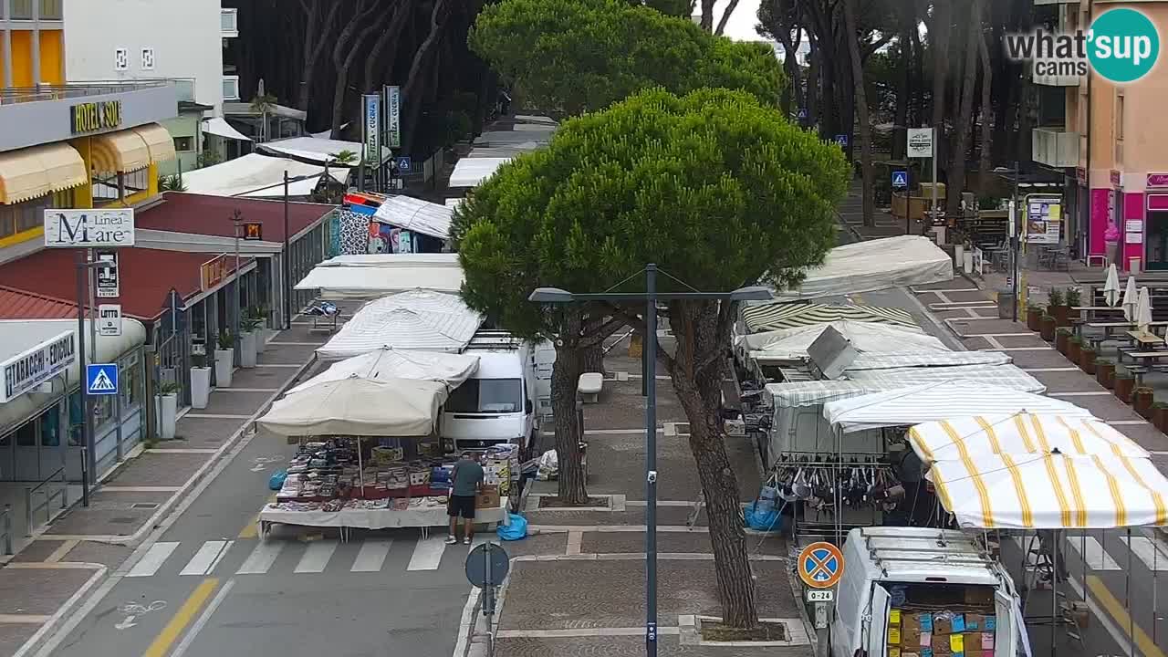 Livecam Rosolina mare